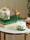 Thymes: Frazier Fir Heritage Small Pine Needle Luminary