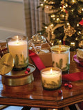 Thymes: Frazier Fir Heritage Small Pine Needle Luminary